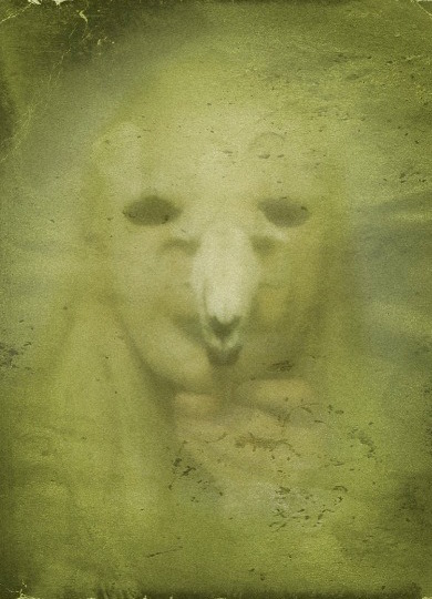 1378067_10151609570746688_1920077427_n