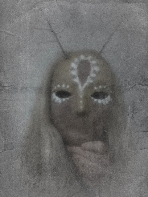 1378844_10151609571221688_1894615122_n