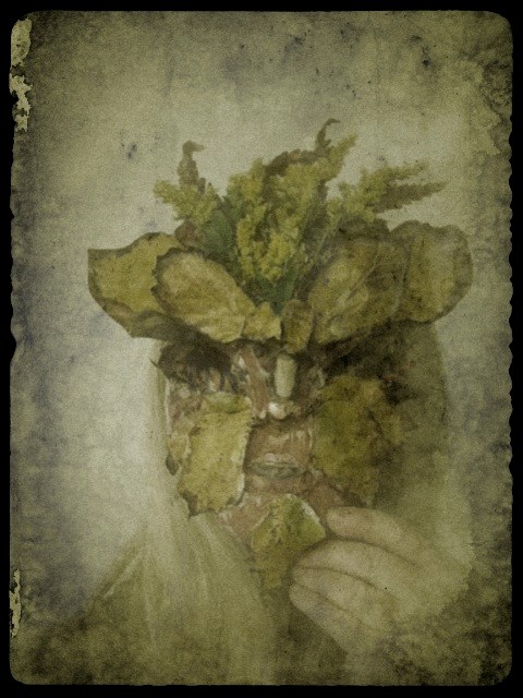 1381496_10151609571196688_405425302_n