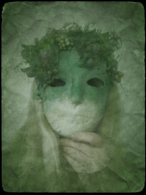 1383944_10151609571216688_457781777_n