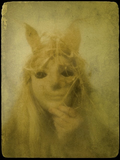 1385010_10151609570856688_863961924_n