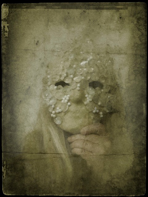 558377_10151609571311688_1498763731_n